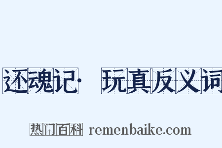 还魂记·玩真反义词是什么意思的图片